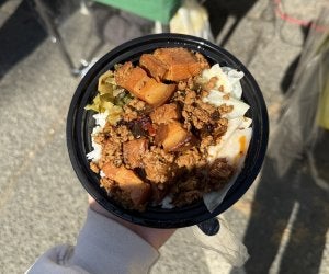 braised pork bowl in hand